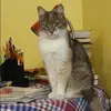 Отзыв от Лилия Сычева